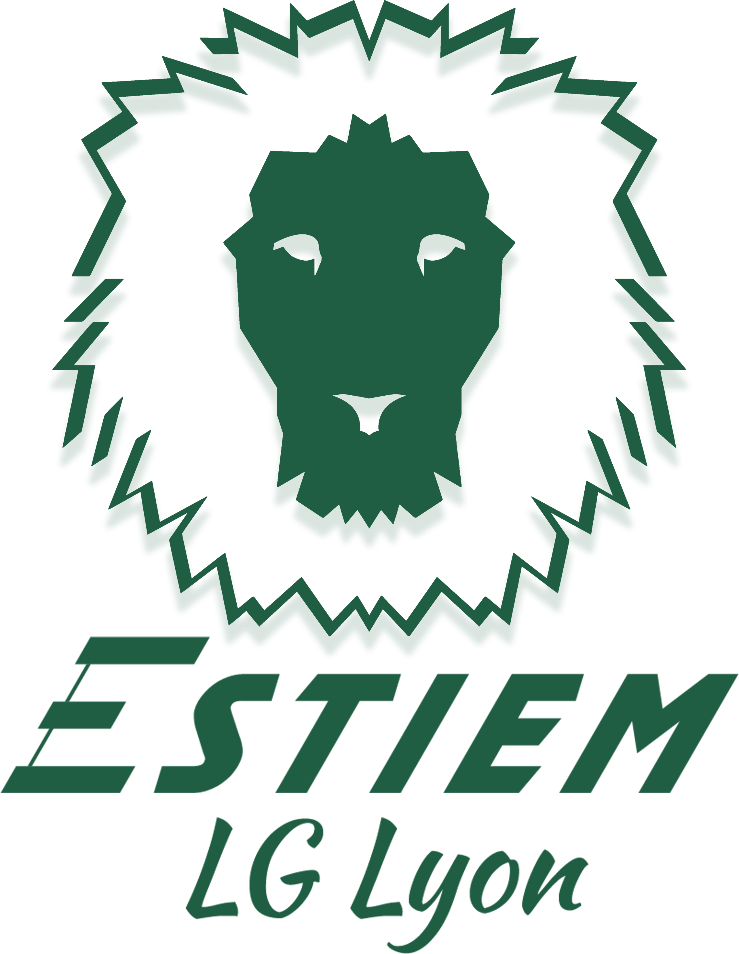 Logo ESTIEM LG Lyon